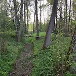 Letniskowe Jerutki Swietajno (Szczytno)