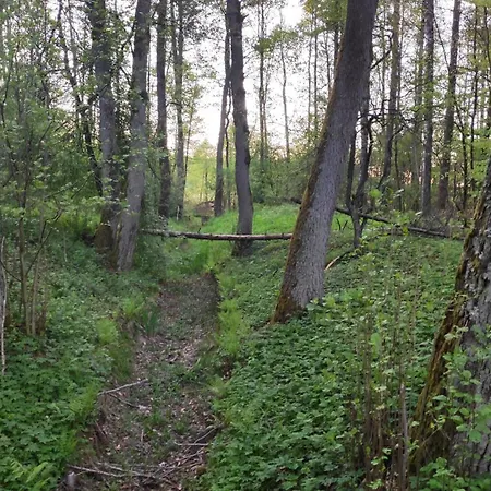 Letniskowe Jerutki Swietajno (Szczytno)