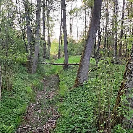 Letniskowe Jerutki * Swietajno (Szczytno)