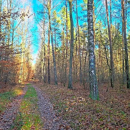 Letniskowe Jerutki